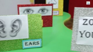 Students of Grade 1 and Kindergarten participated in an engaging EVS activity on the theme “Zoom into Your Senses.” The activity was designed to help children explore and understand the five sense organs—eyes, ears, nose, tongue, and skin—through a fun, hands-on learning experience. A colorful dice was used to make the session interactive and enjoyable, where each number on the dice was linked to a specific sense organ.

Students took turns rolling the dice and performed activities related to the sense organ they landed on. Through this playful approach, they actively observed, participated, and expressed their experiences, making learning both meaningful and enjoyable. The activity encouraged curiosity, communication, and collaborative learning among the young learners.

The session helped students identify the five sense organs and understand their functions in daily life. It also promoted the use of senses through real-life experiences such as seeing, hearing, smelling, tasting, and touching. In addition, it developed observation skills, thinking abilities, and awareness about the importance of caring for sense organs.

Overall, the activity made learning fun, interactive, and experiential, while enhancing confidence, participation, and foundational understanding among students through joyful learning.

#EVSActivity #SenseOrgans #HandsOnLearning #ZoomIntoYourSenses #LearningThroughPlay #KindergartenFun #Grade1Learning #InteractiveLearning #FunInClass #JoyfulLearning #SchoolActivities #YoungLearners